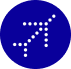 indigo-airlines